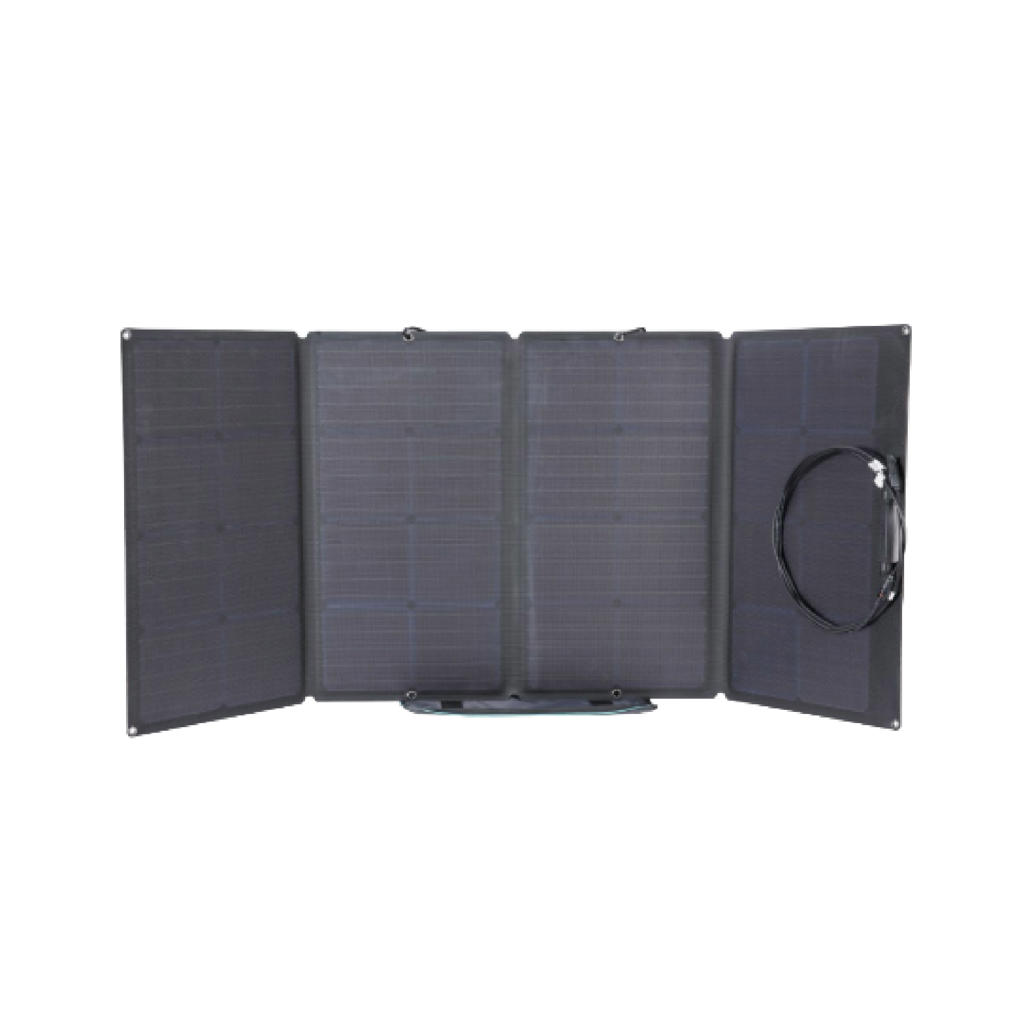 Combo Delta 2 + Panel Solar 160W - Image 2