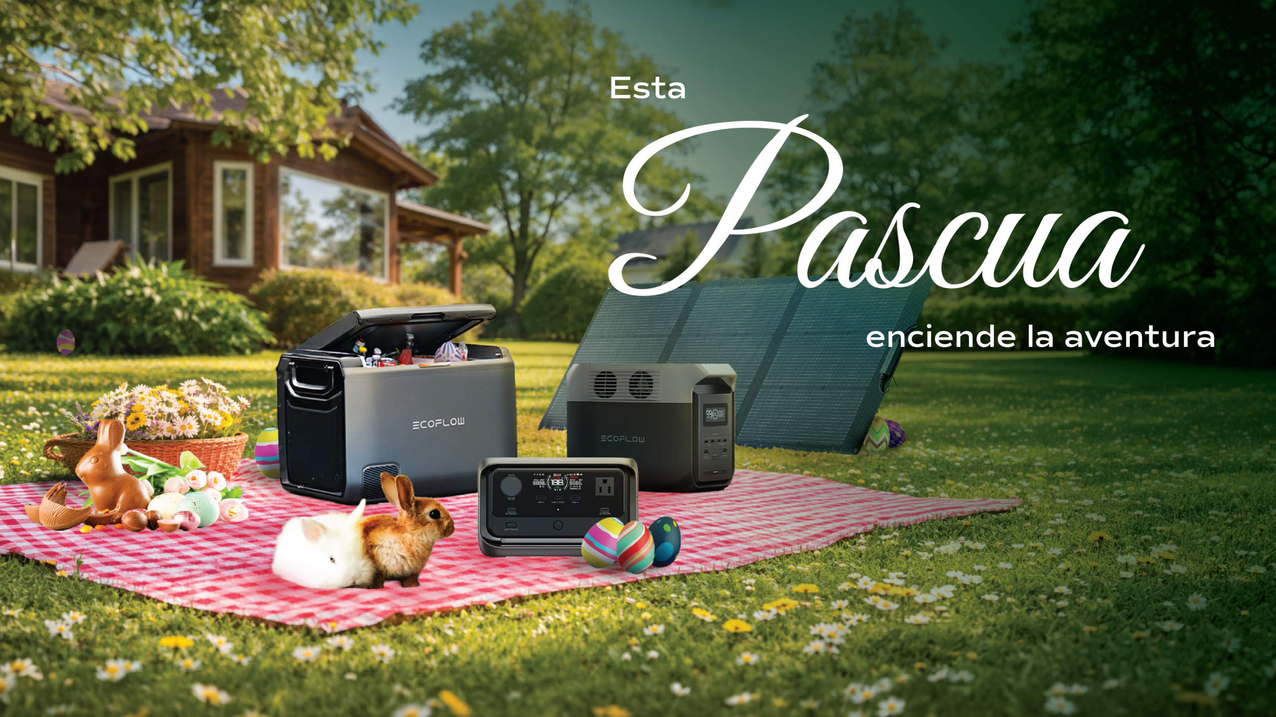 PowerMe Energy - Ecoflow - pascua